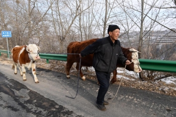 记者手记动态图片,记者手记的素材