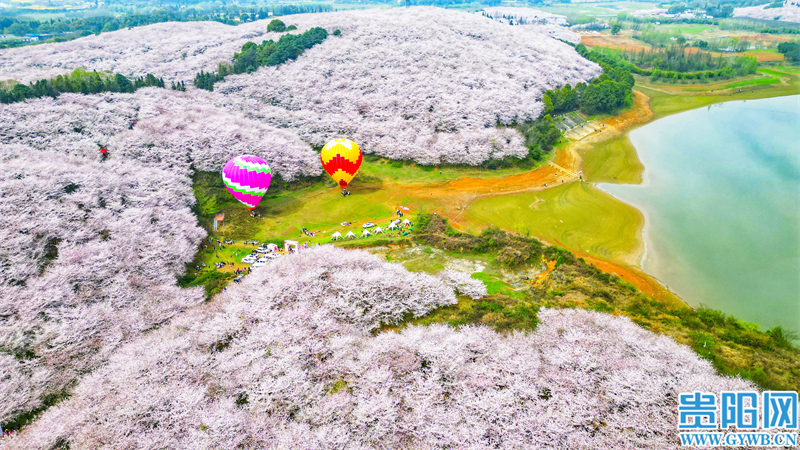 多彩贵州花漾中国走进黔西南,多彩贵州花漾中国兴义