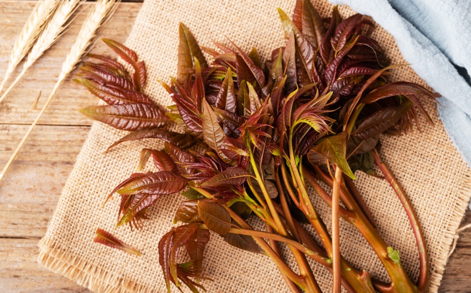 春日当季时蔬指南尝鲜唤醒味蕾,多款春日美味唤醒味蕾